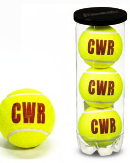 CWR ProStrike Cricket Ball – Match & Practice Edition (Pack of 4)