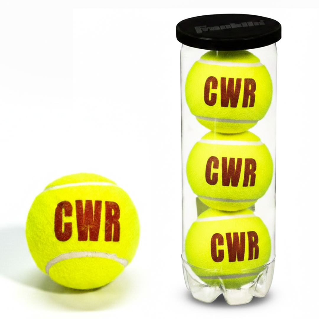 CWR ProStrike Cricket Ball – Match & Practice Edition (Pack of 4)
